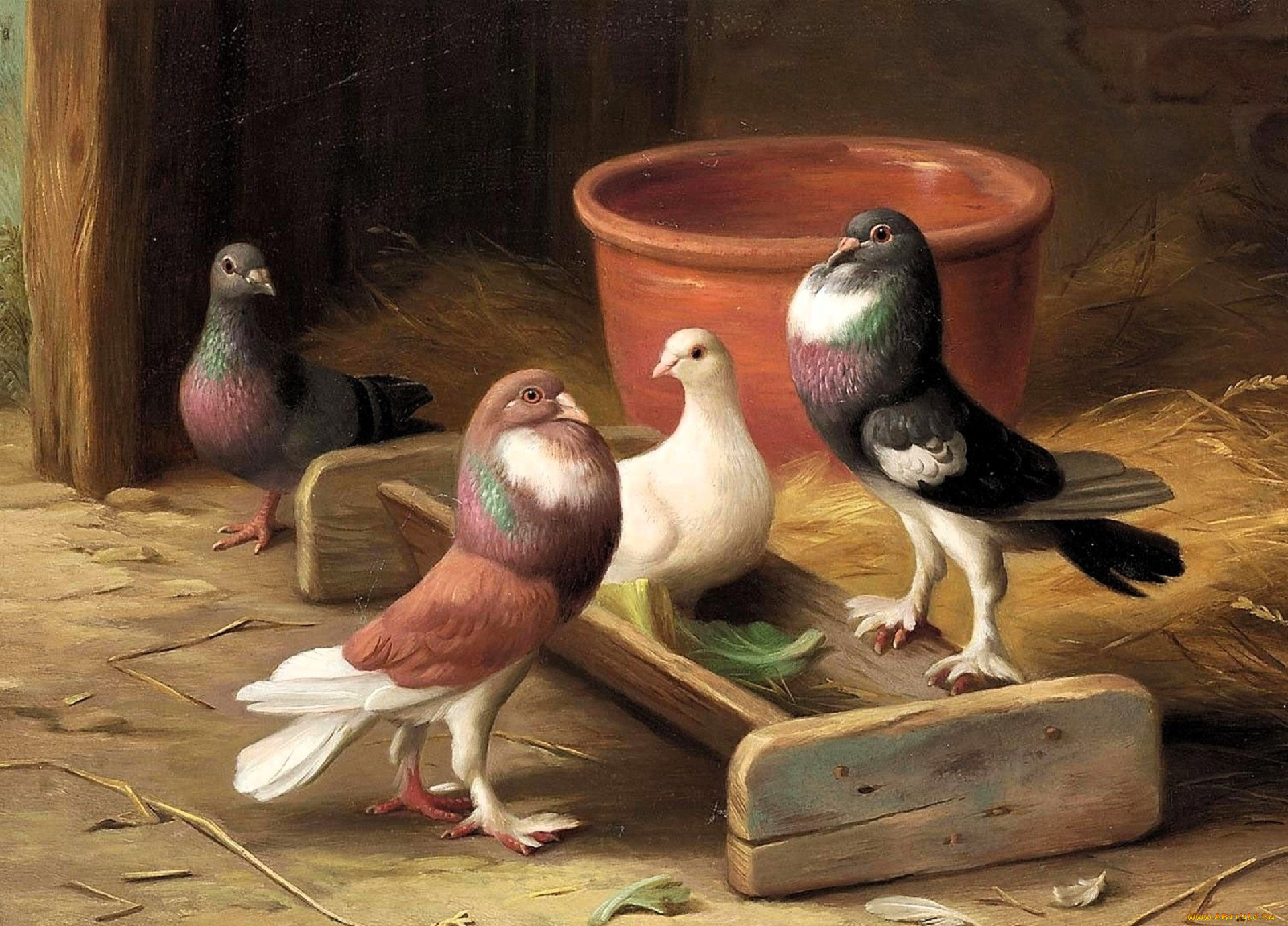 ����������, edgar hunt, ������, ������, ������, ����, �����